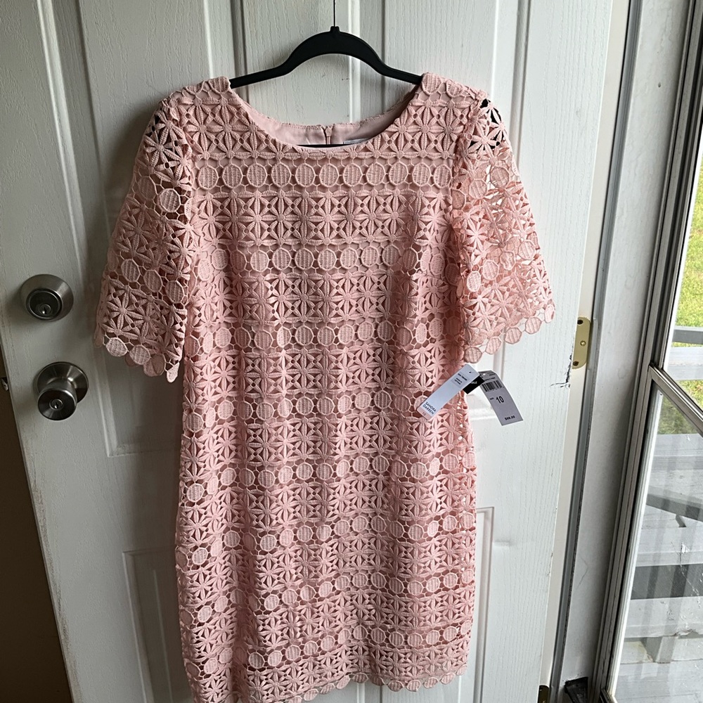 NWT Sandra Darren size 10 dress